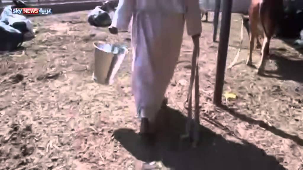 السودان.. تقنيات حديثة لزيادة الإنتاج