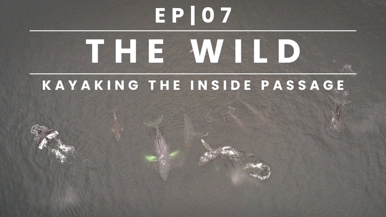 The Wild | For Fun's Sake Expedition of the Inside Passage | EP07