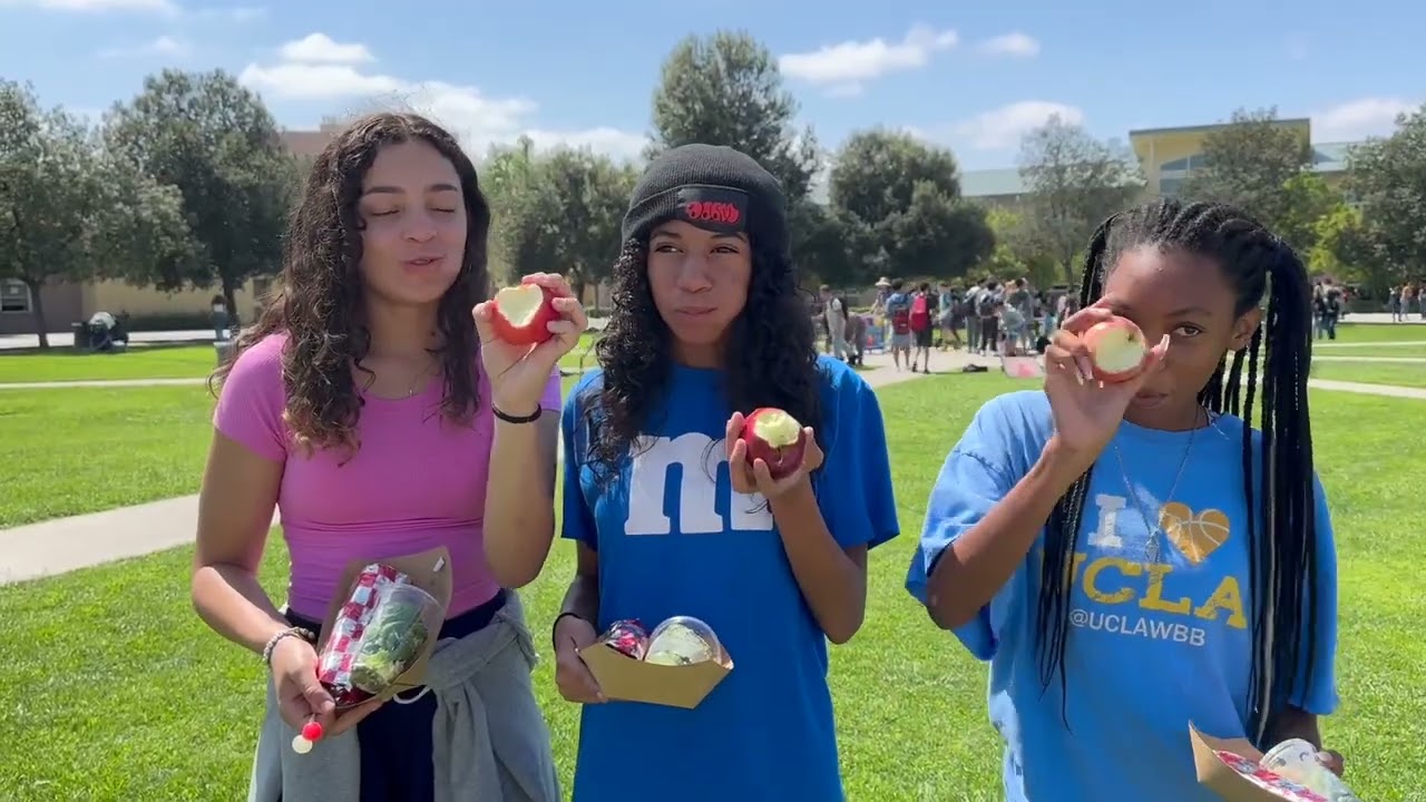 CVMS Lunch on the Lawn