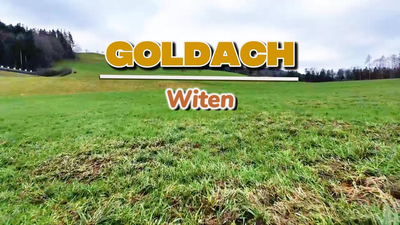DJI Neo 2 | Goldach - Witen