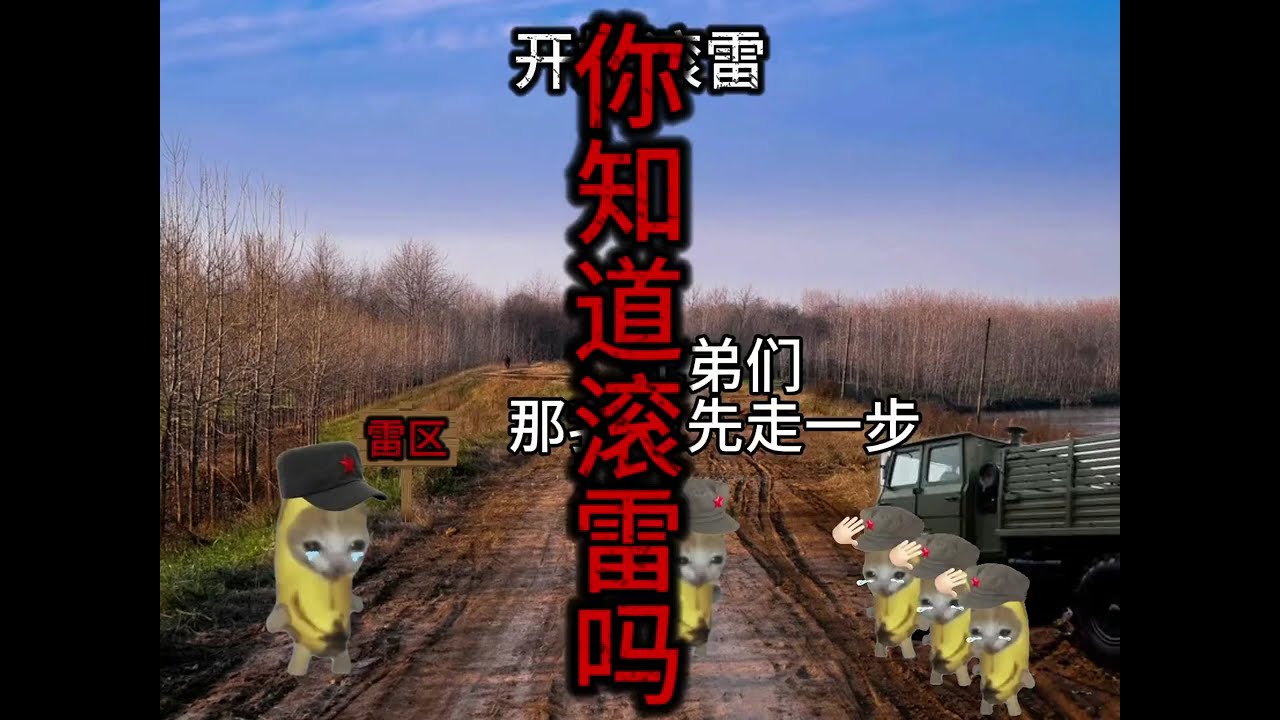 你可曾听闻排雷最快的方法？致敬滚雷英雄们#排雷 #排雷英雄 #滚雷 #滚雷英雄 #猫meme #猫meme小剧场