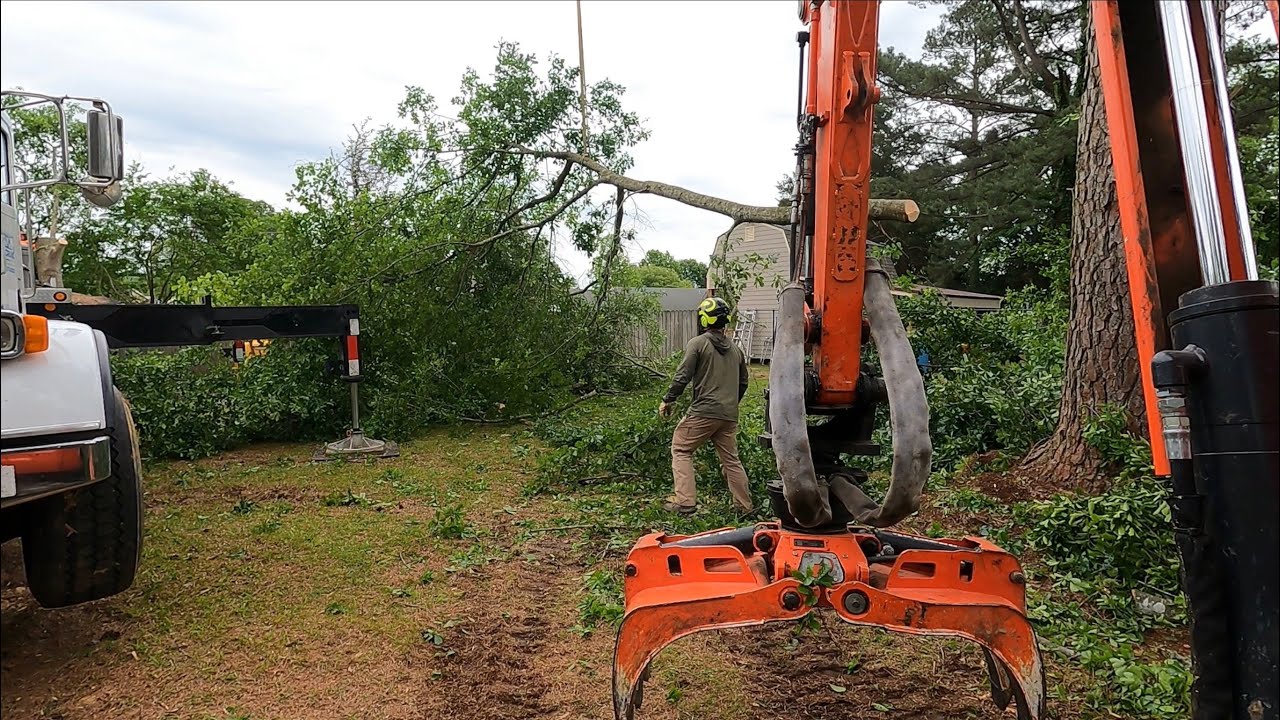 Removing trees with a crane 💪🏻