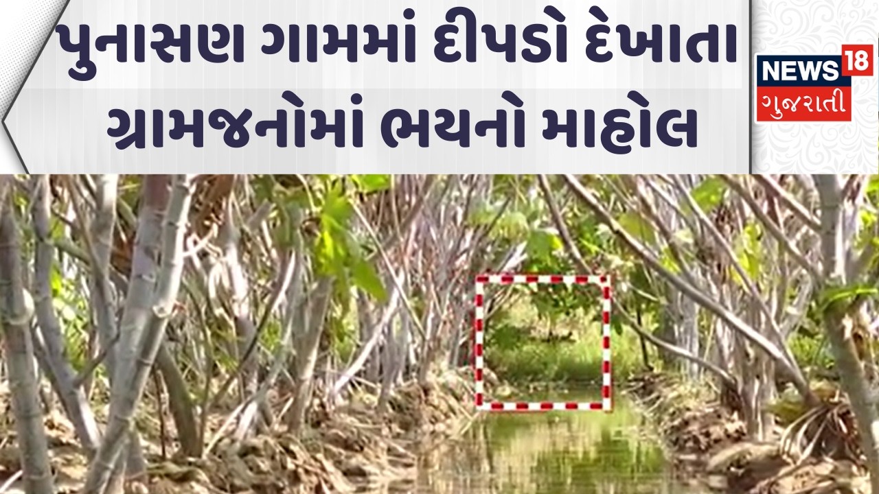 Mehsana Forest Department | પુનાસણ ગામમાં  દીપડો દેખાતા ગ્રામજનોમાં ભયનો માહોલ | Leopard | News18