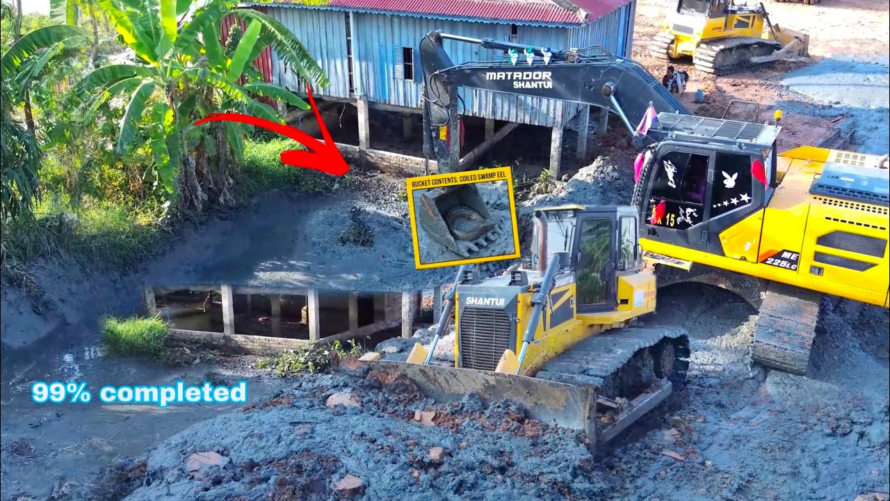 Ultimate Completely! MASTER Operators SHANTUI Bulldozer & Excavator Reclaims Mud Pond Skillfully