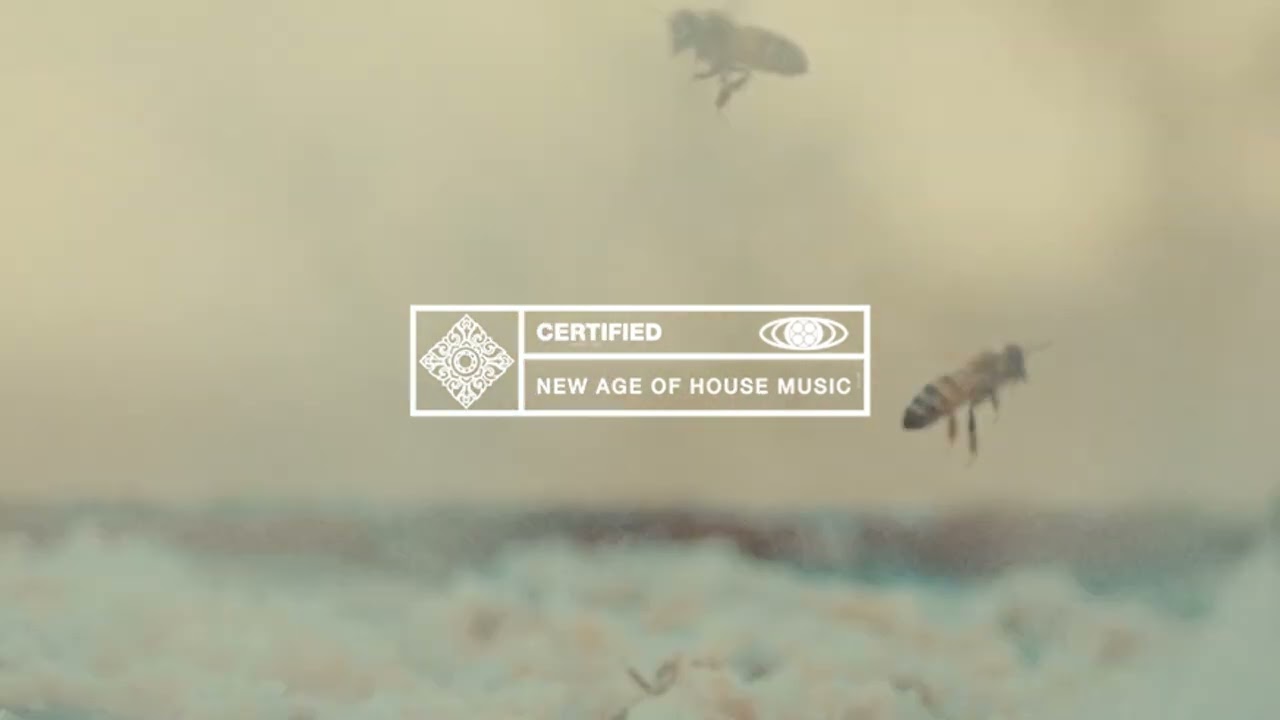 Bleu Clair, OOTORO Feat. Chyra - Killer Bee
