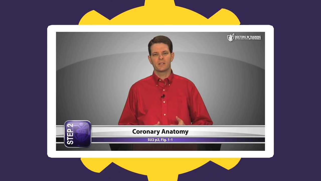 USMLE Step 2 CK Review from Doctors In Training