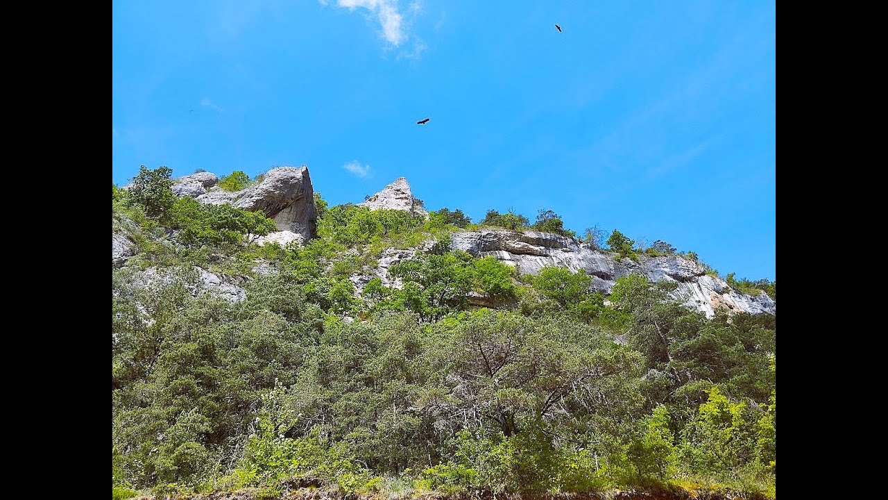 La Jonte et ses Gorges