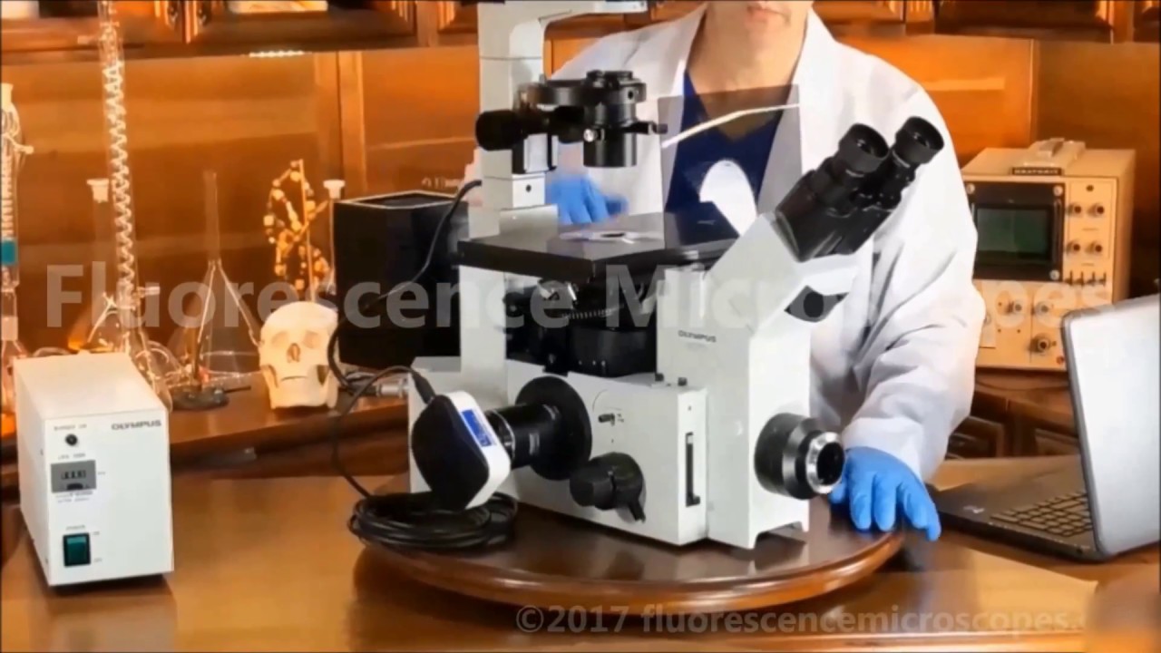 Olympus IX70 Inverted Fluorescence Microscope - SKU003