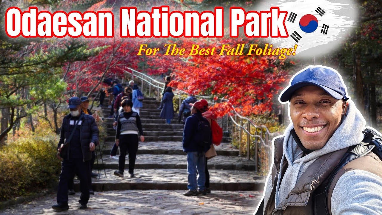 Let's Travel To Odaesan Recreation Park! The Best Fall Foliage in South Korea!