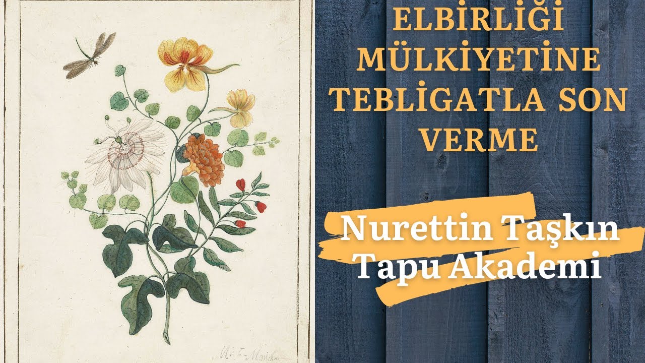 Elbirliği Mülkiyetine Tebligatla Son Verme