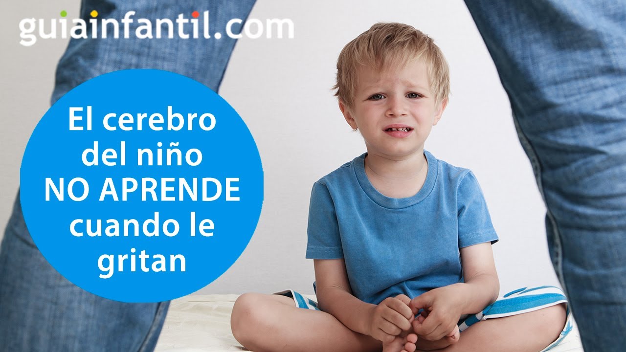 Por qué los niños no aprenden cuando les gritamos | Efectos de los gritos en el cerebro infantil