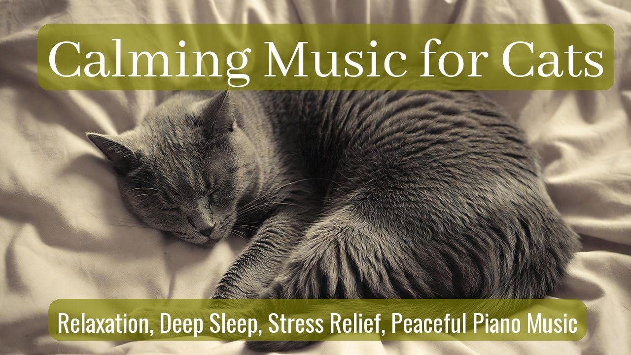 Calming Music for Cats - Relaxation, Deep Sleep, Stress Relief, Peaceful Piano Music | Season 70
