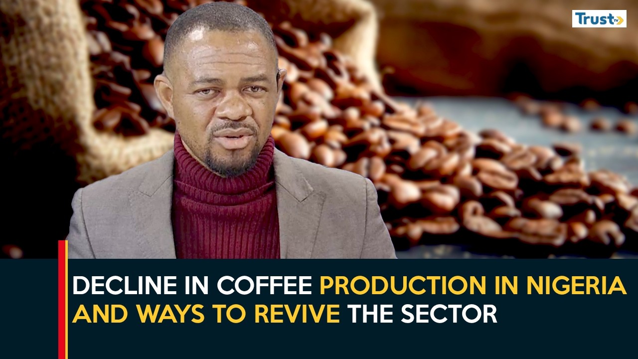 Declining In Coffee Production In Nigeria And Ways To Revive The Sector