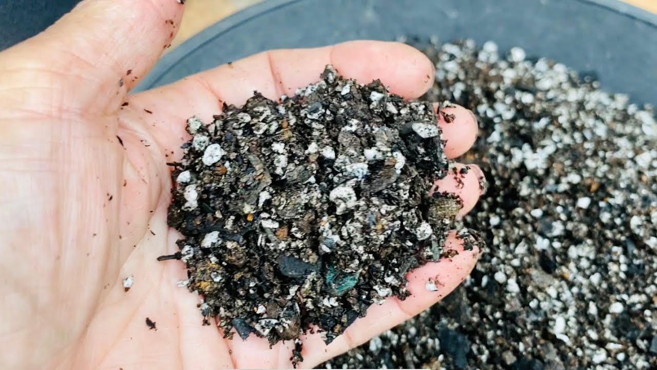 ISOPOR NO SUBSTRATO DAS SUCULENTAS/ SAIBA COMO PREPARAR E DEIXAR SEU SUBSTRATO MAIS LEVE E DRENÁVEL