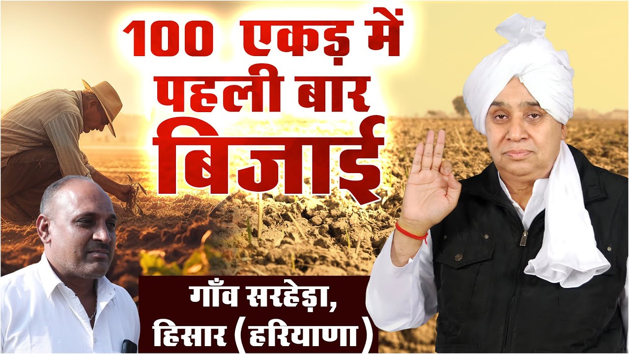 100 एकड़ जमीन पर पहली बार हुई बिजाई! संत रामपाल जी महाराज ने सरहेड़ा (हिसार) को दिया जीवनदान।