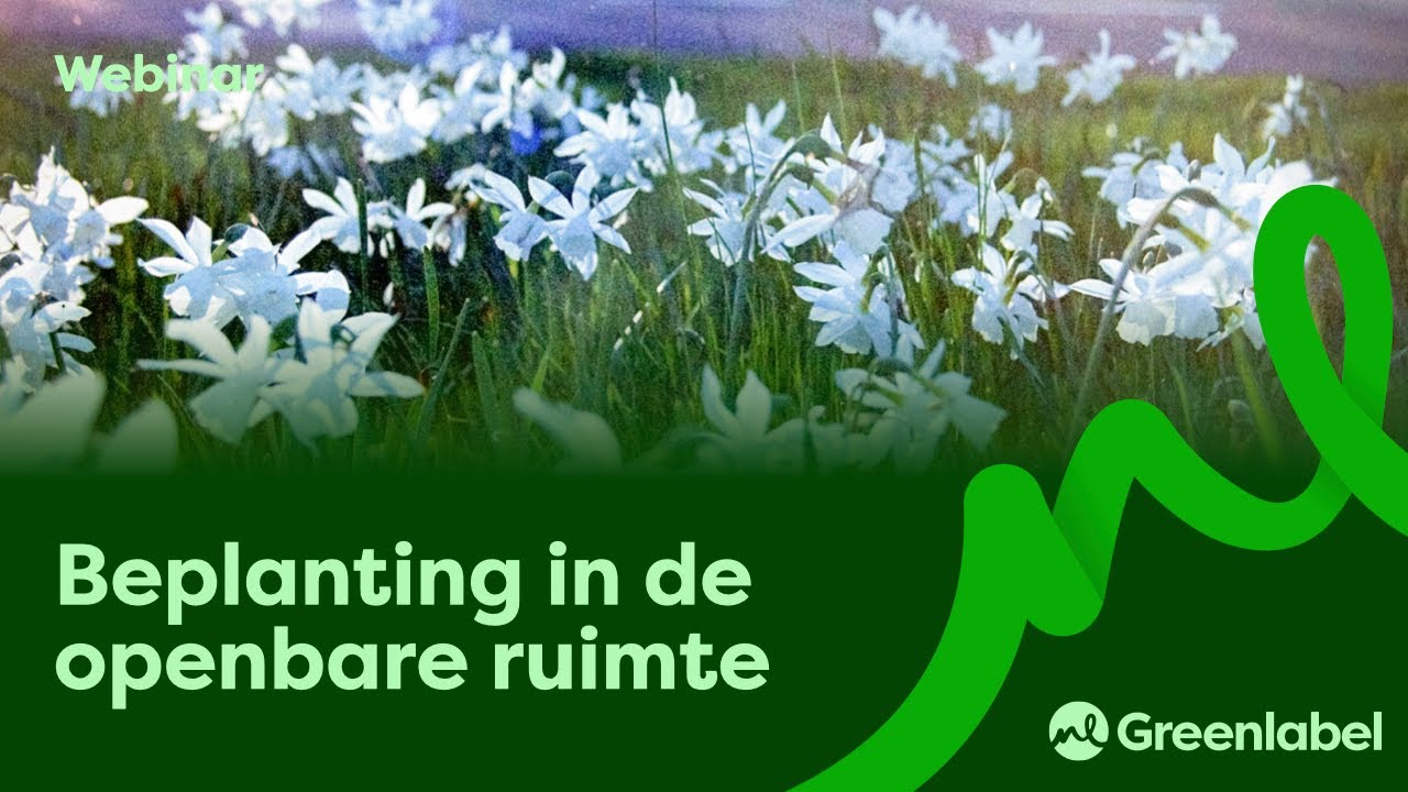 Webinar Beplanting in de Openbare Ruimte