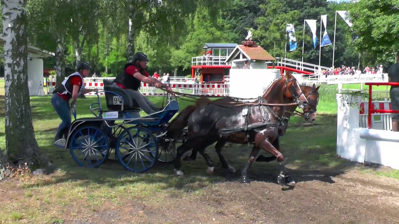 Pony- Zweispänner @ Drebkau- Marathon 2016