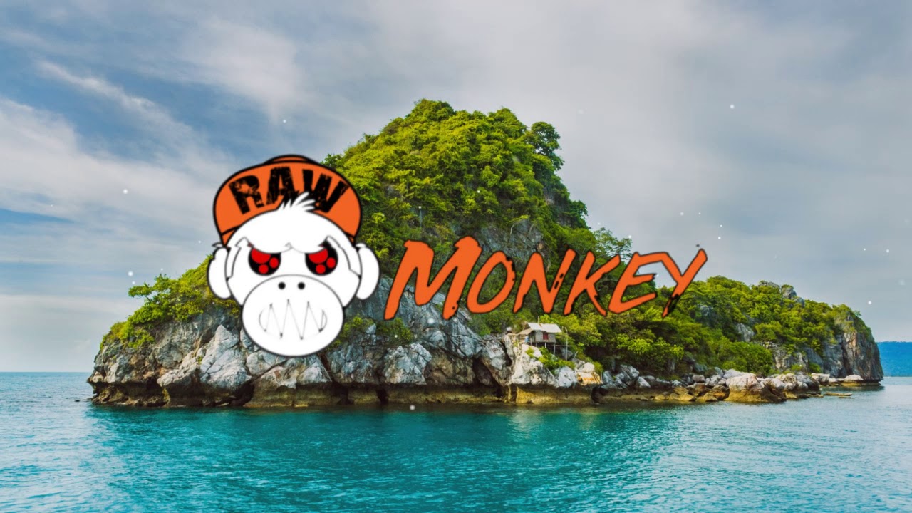 Psyfiix - Polluted System (XTRA RAW) [MONKEY TEMPO]