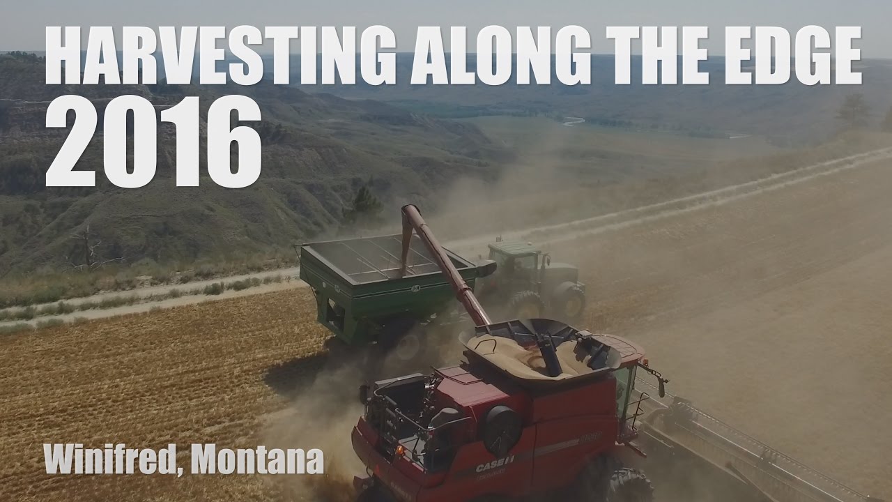 Harvesting Along The Edge 2016 (Winifred, Montana)