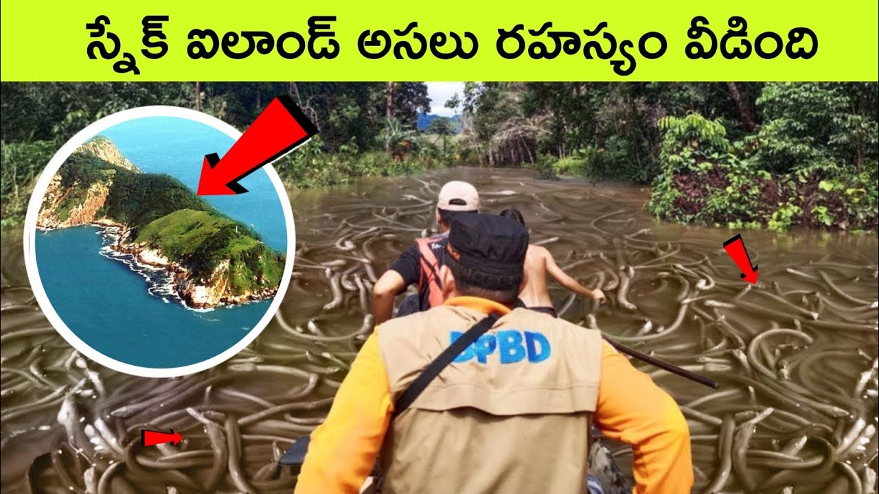 snake island mysteries story / Snake island brazil / snake videos / bmc facts / telugu facts