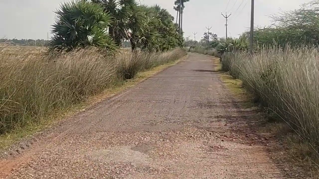 PER ACRE 12-LAKHS AREA 5/ACRES AGRIC LAND SALE THIRUVARUR IN MUTHUPET TO VEDARANYAM CUT ROAD 1/KM