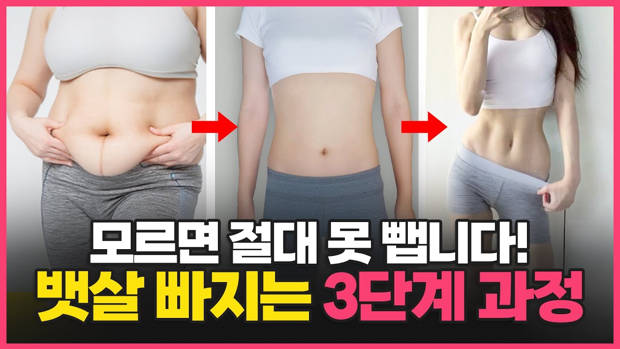 직접 10kg 빼고 알게 된 '뱃살 빠지는 3단계' 과정!ㅣ단계별 운동, 식단법 총정리