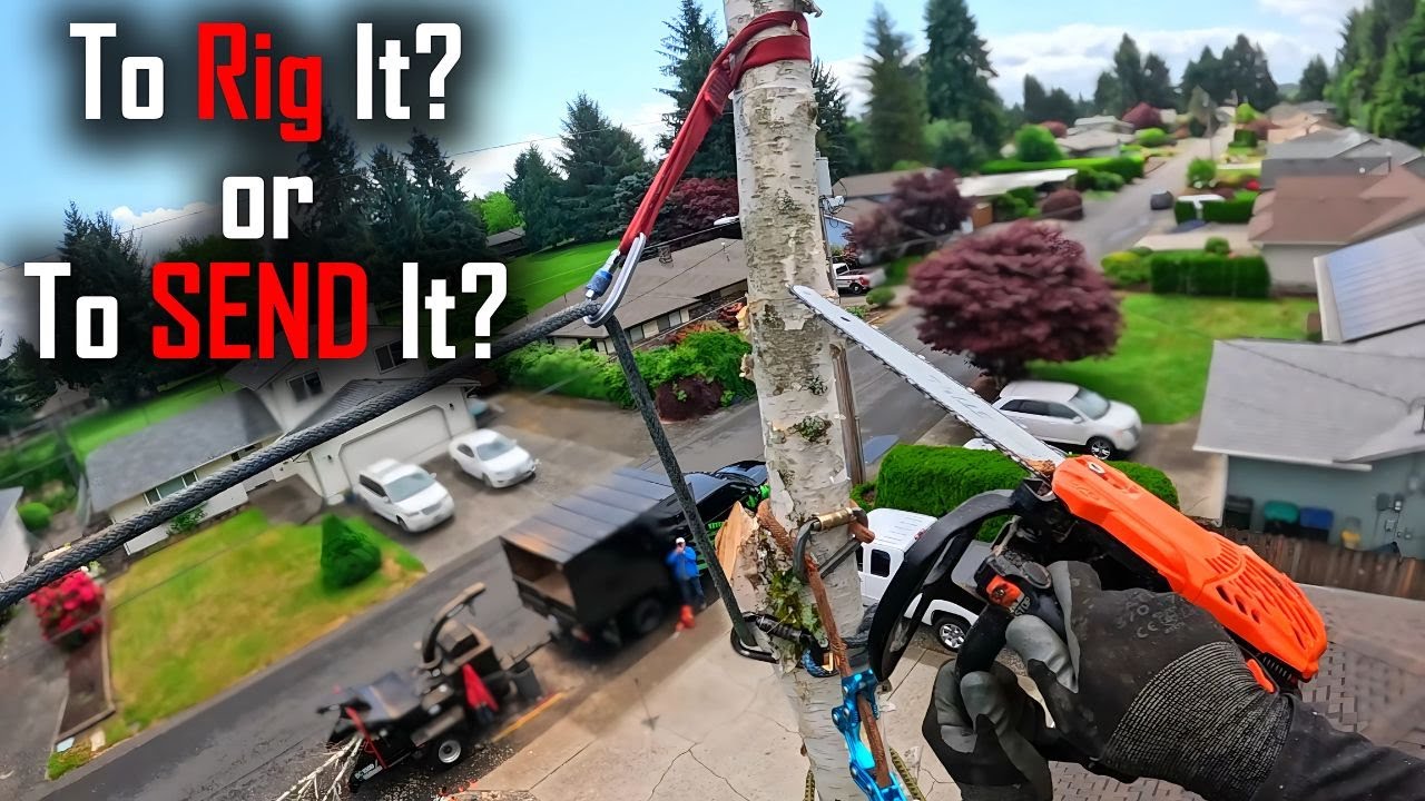 Dead Trees Dismantled in Tight Space – Precision at Its Finest!