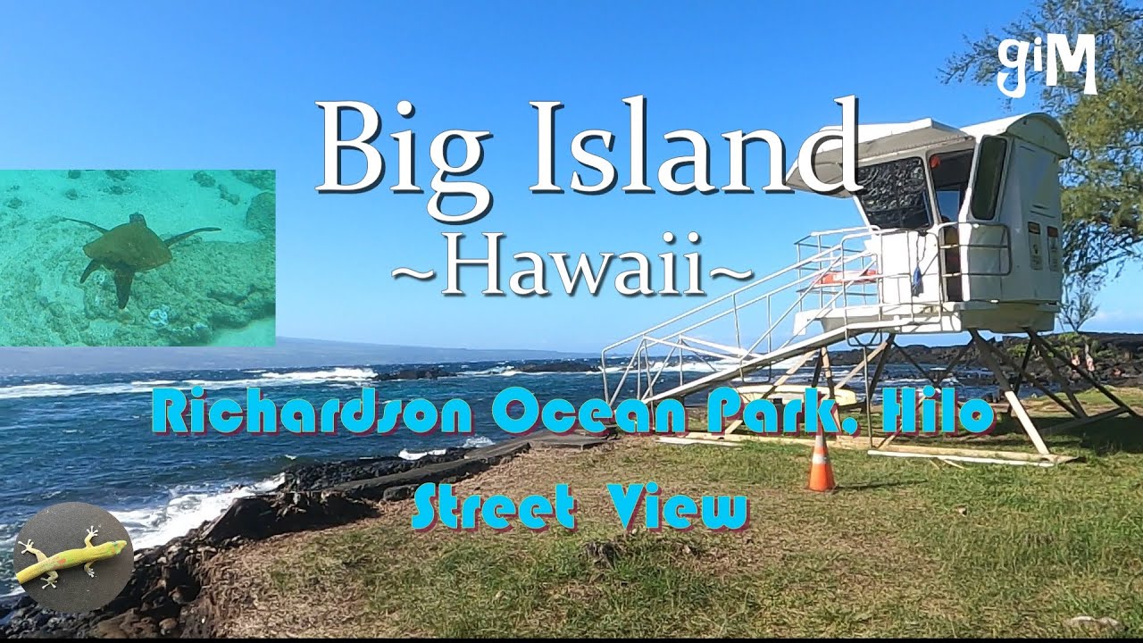 Richardson Ocean Park, Hilo - Snorkeling With Turtles - Hawaii, Big Island (Town/Homes)