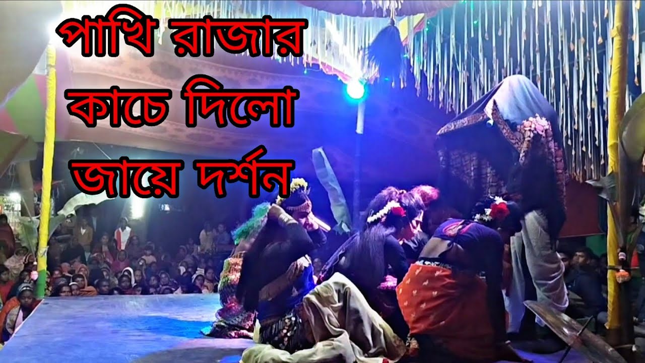 পাখি রাজার কাচে জায়ে দিলো দর্শন ইমরান মিডিয়া ঠিকানা আক্কেলপুর 