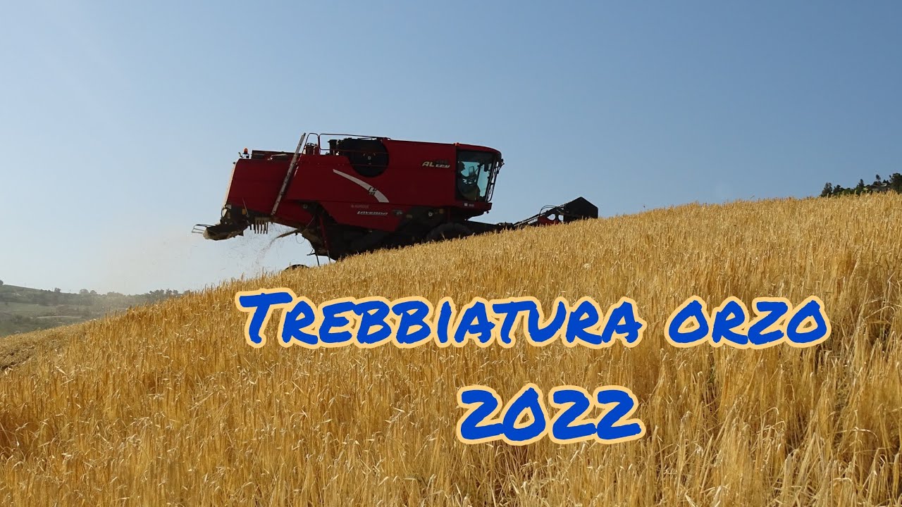 Trebbiatura 2022| Laverda al rev| orzo 🌾 #agcocorp