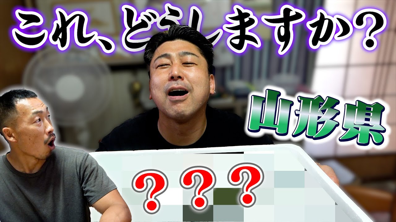 【鮮魚BOXガチャ成功？？】山形で獲れたお魚を使ってお刺身！フライ！！照り焼き！！！