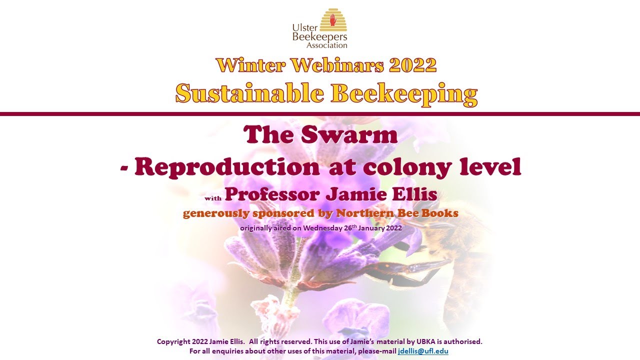 UBKA Winter Webinars '22 - "The swarm: reproduction at colony level" with Prof. Jamie Ellis