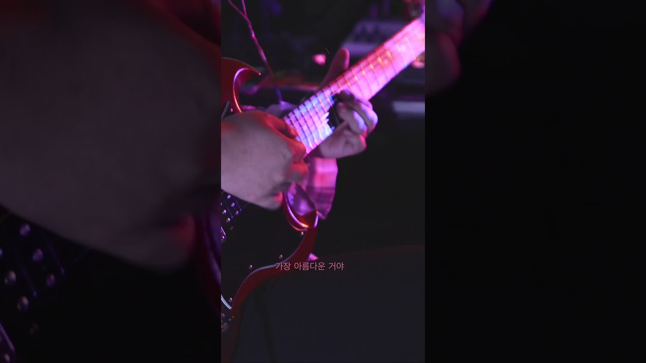 검정치마  -  『Cicadas (매미들)』 ┃ 기타 커버