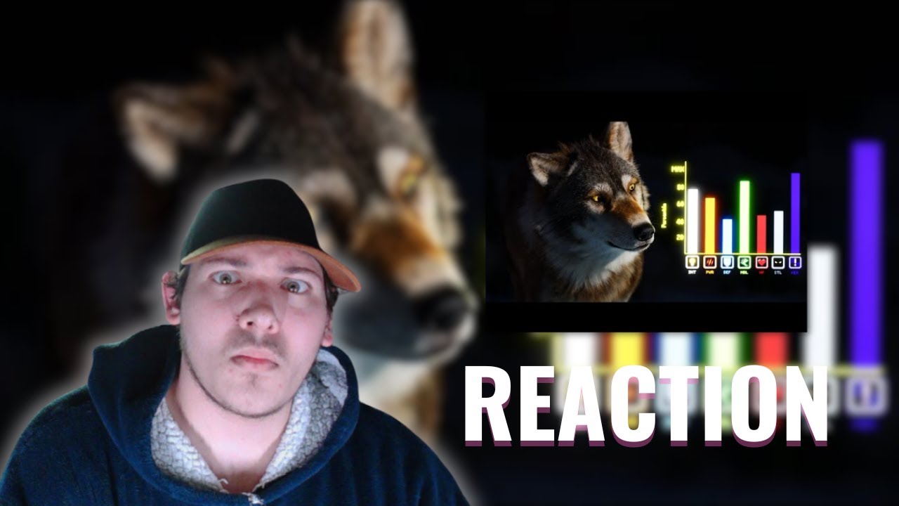 [REACTION] | TierZoo | How Wolves Broke The Game