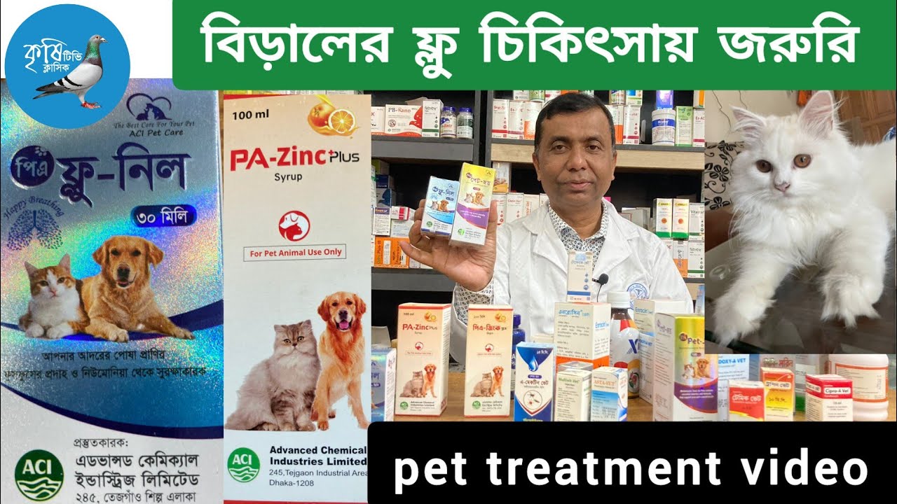 বিড়ালের  ফ্লু চিকিৎসা।Cat flu vaccine.