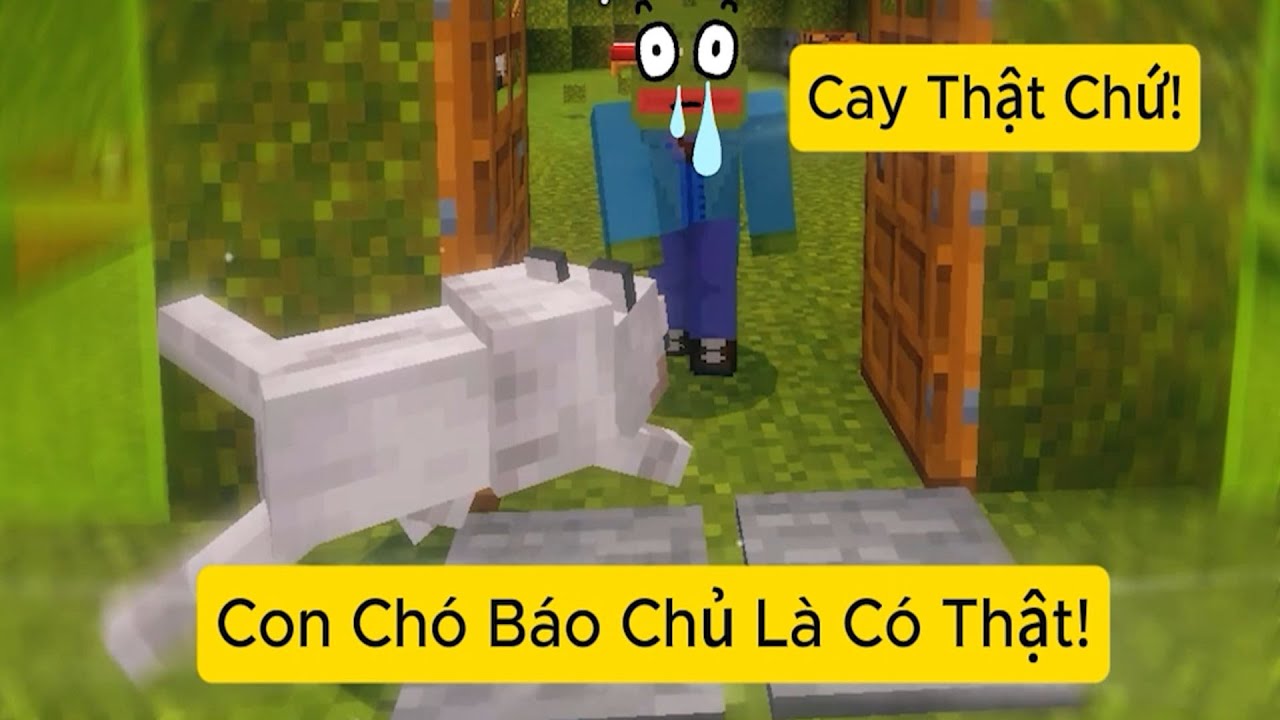 Tôi Chơi Minecraft Cùng Mấy Đứa Bất Ổn 🤣- Siêu Hài Hước
