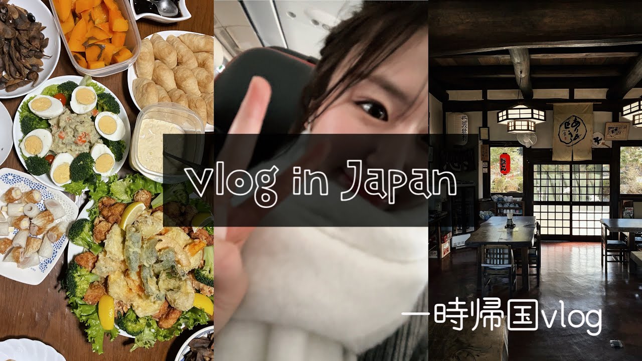 【vlog】일본에 잠깐 돌아가기/나의 이야기/오랜만에 할머니 밥🤍/보고싶었던 사람들과 함께한 시간/日本一時帰国vlog/私がワーホリ来た理由と未来についての悩み/やっぱ日本だいすきやわ🇯🇵