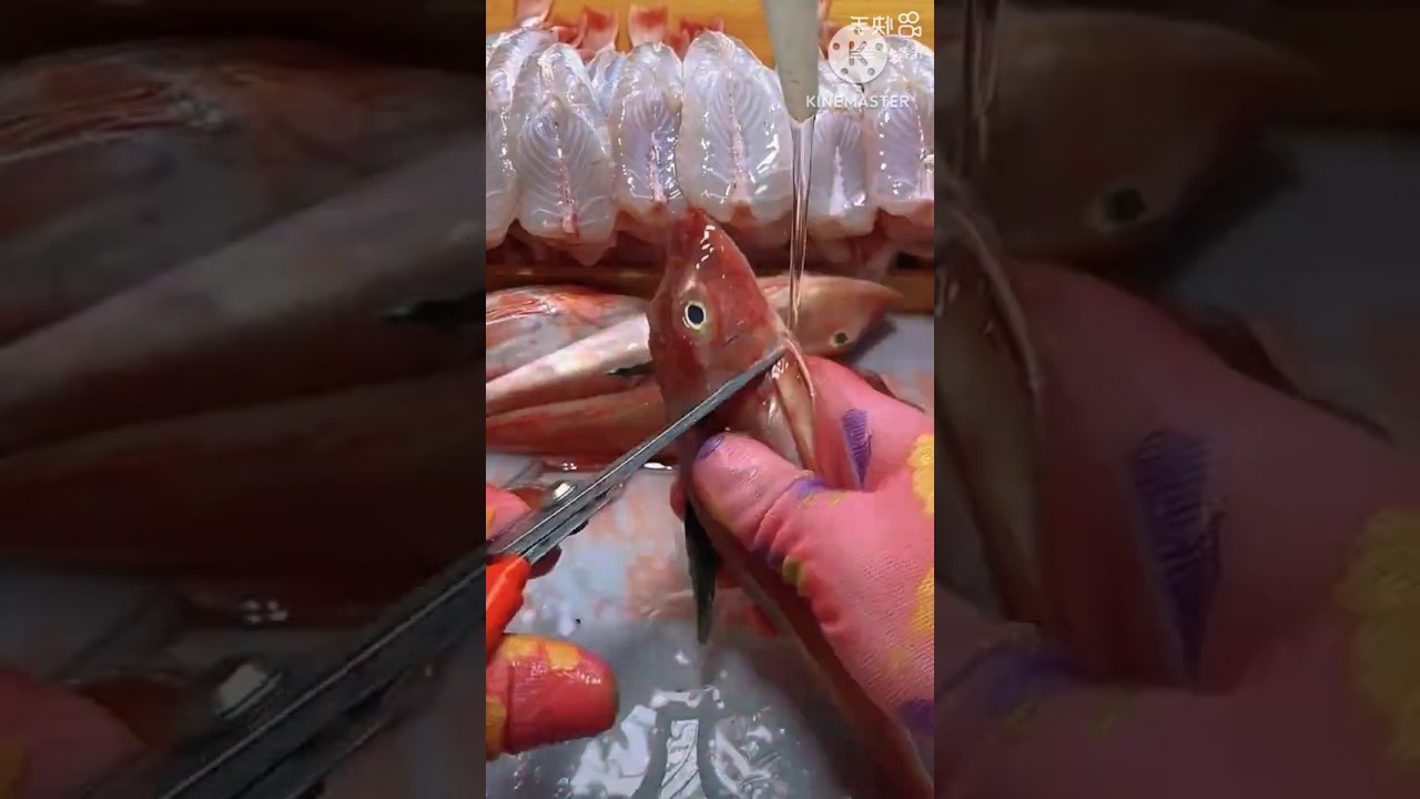 Fast Fish Cutting Technique l 🐟 l 