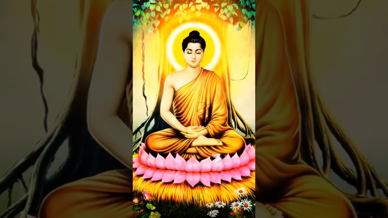 Nam Mô Bổn Sư Thích Ca Mâu Ni Phật || Nhạc Niệm Phật 🙏🙏🙏