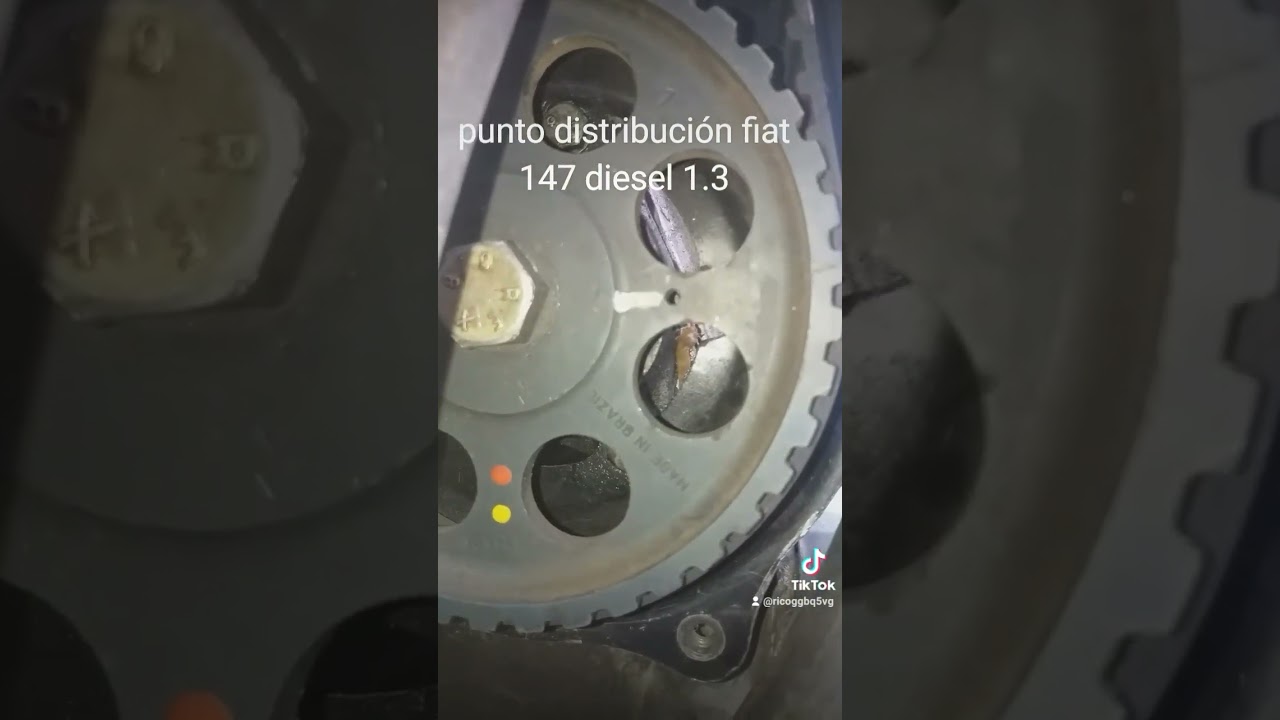 puesta a punto correa de distribución fiat 147 diesel 1.3