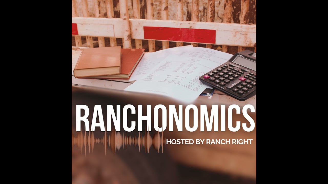 9. Working with Cattle Buyers with Wally Olson