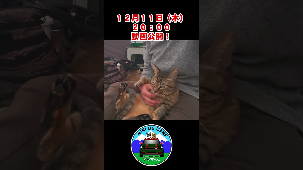 北海道キャンプ！#冬キャンプ の #グルキャン は #KingCamp KHAN light 500 #ベルテント に #お篭り！