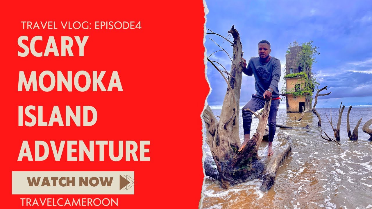 2022 Adventure Of A Lifetime #vlog #travel #travelcameroon