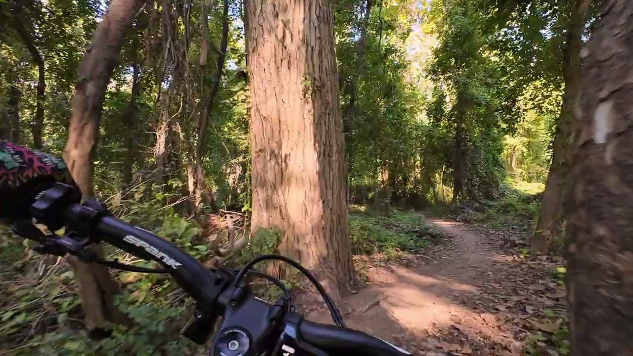 Brazos River Park Tower Run