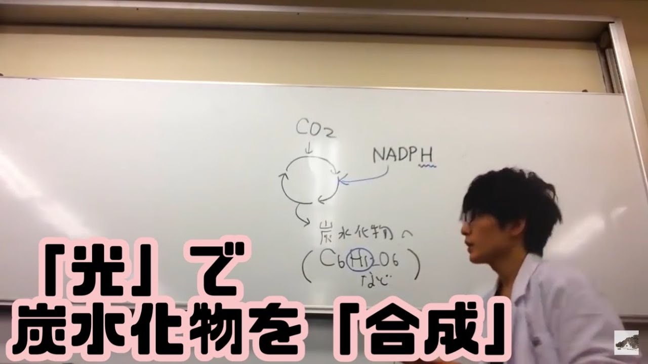 カルビン回路（カルビン・ベンソン回路）について【光合成①】　高校生物