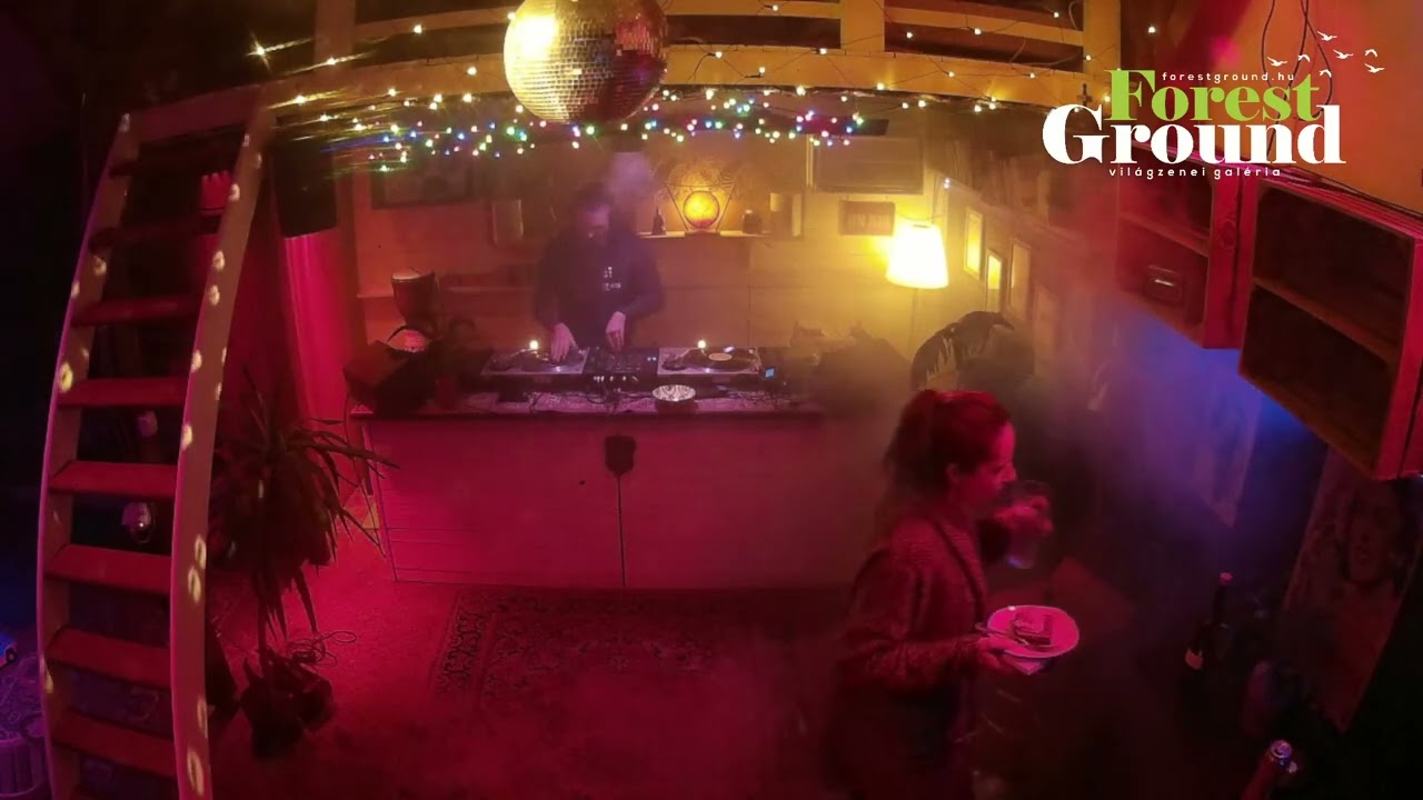 🌳 Forest Ground // Wakablack #rubadub #newroots #bassreggae #vinyl  🎧 {partytime}