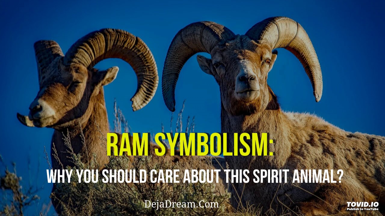 Ram Symbolism: Why You Should Care About This Spirit Animal?