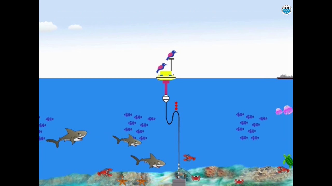 Buoy Awareness Cartoon by NOIT