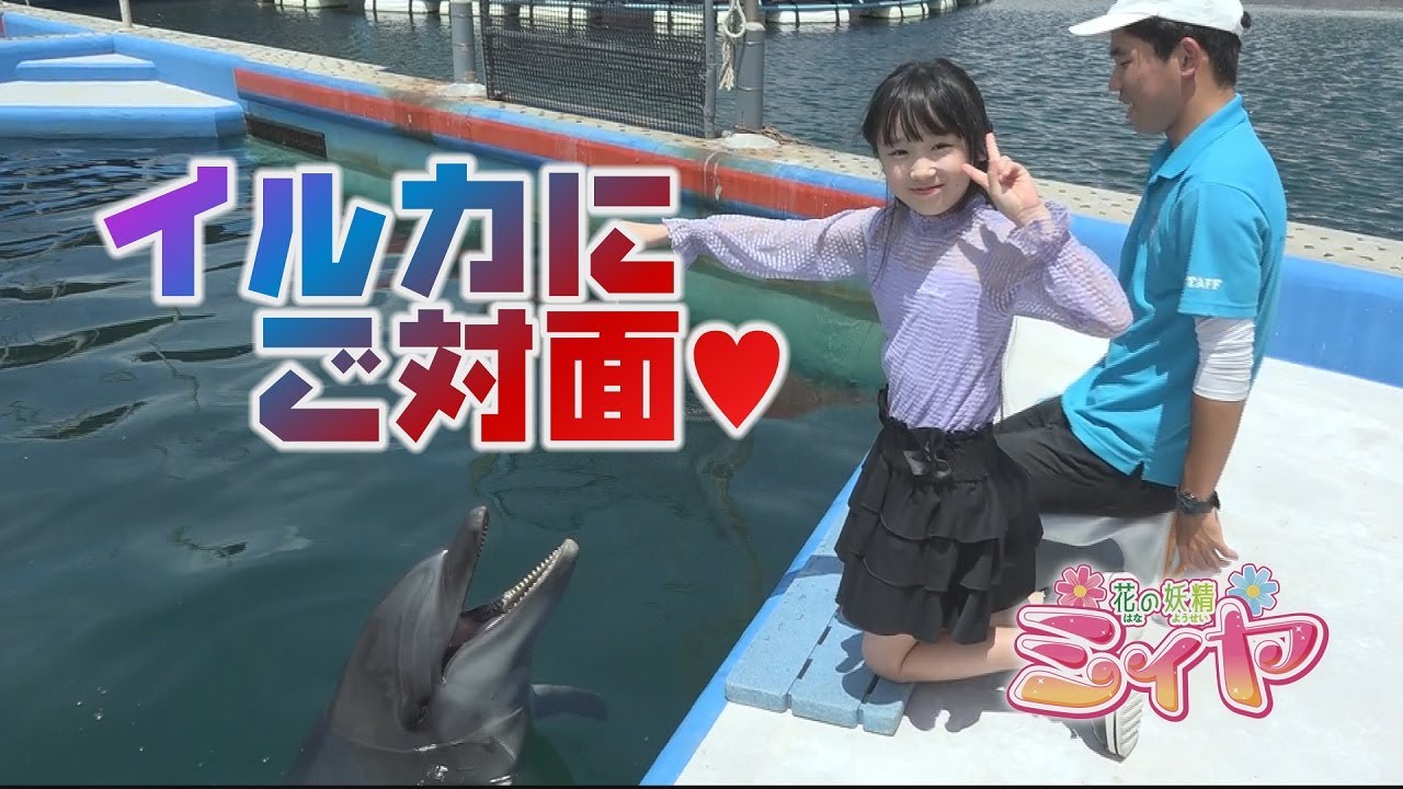 ついにイルカと花の妖精たちが初対面♪ ふたりはイルカさんにエサを上げることが出来るかな？【大黒イルカランド:体験❼】