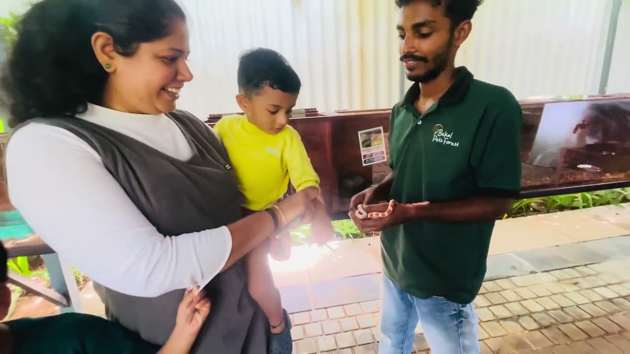 Bekal Pet Forest🥰